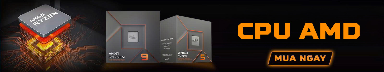 CPU AMD