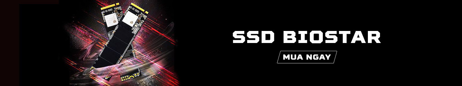 SSD Biostar