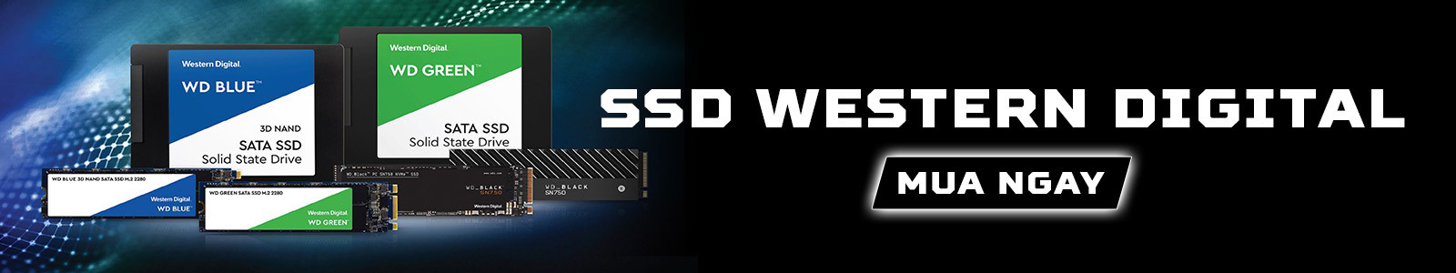 SSD Western Digital