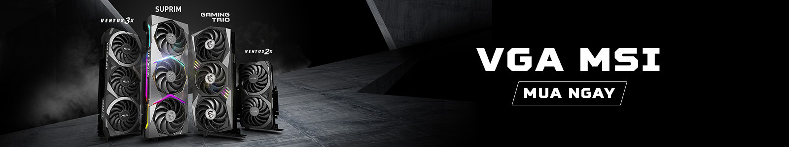 VGA MSI