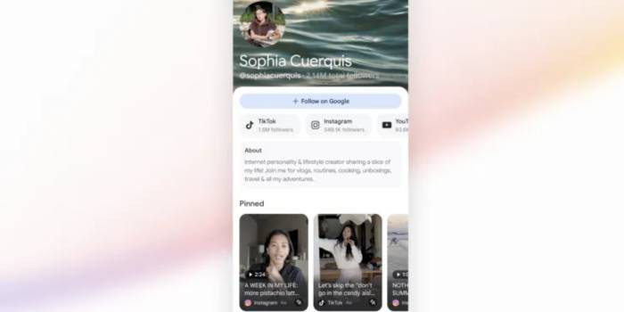 TNC Store Google Search Profile Cho Phép Tùy Chỉnh Kết Quả Tìm Kiếm