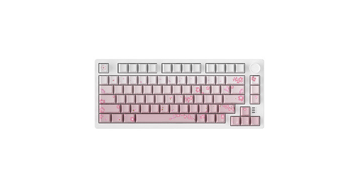 TNC Store Bàn phím cơ Gaming DAREU EK75 PRO Sakura Pink
