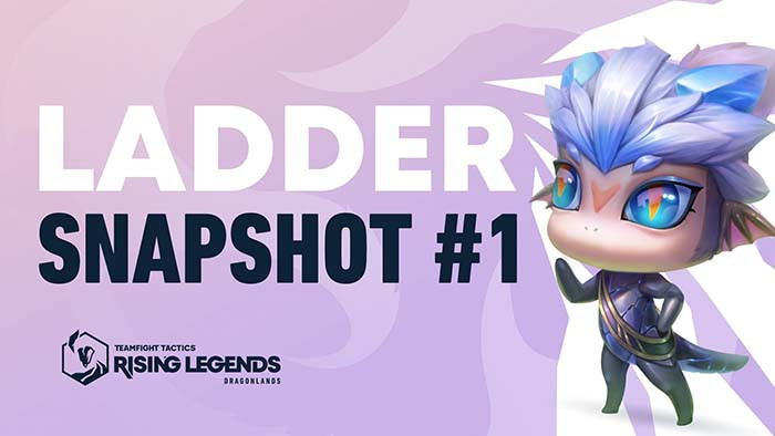 TNC Store Snapshot TFT DTCL