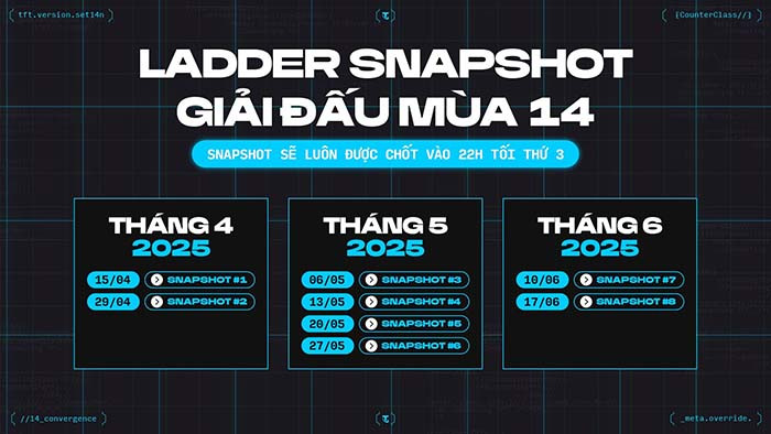 TNC Store Snapshot TFT DTCL