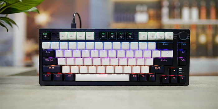 TNC Store Bàn Phím Cơ Gaming DAREU EK75 PBT White Black