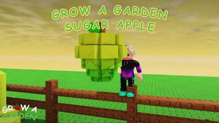 TNC Store Sugar Apple Grow A Garden Cách Tạo Đột Biến Candy