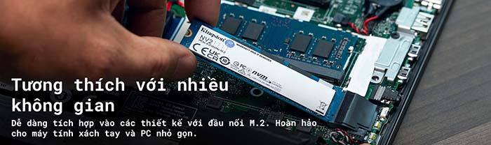 TNC Store Ổ Cứng SSD Kingston SNV2S 1TB