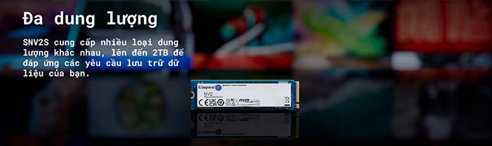 TNC Store Ổ Cứng SSD Kingston SNV2S 250GB