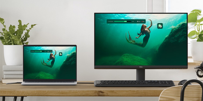 TNC Store Màn Hình Dell SE2425HM 23.8 Inch/ FHD/ IPS/ 100Hz/ 5ms