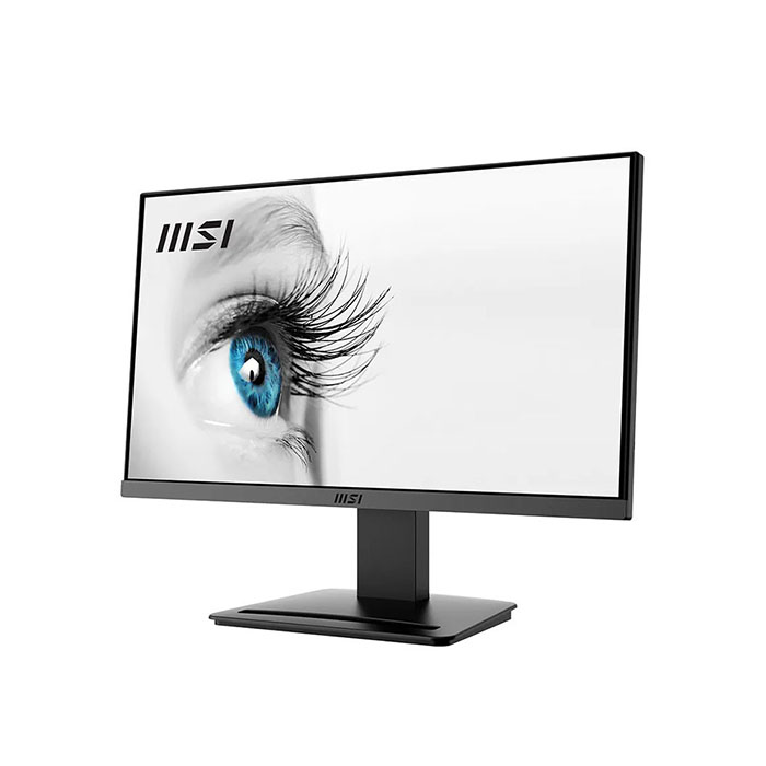 TNC Store Màn Hình MSI Pro MP245V  