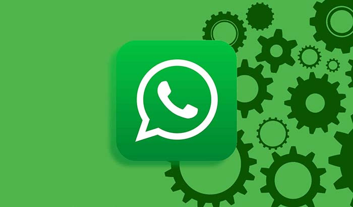 TNC Store Cách Tải WhatsApp Cho Máy Tính Win 10 Miễn Phí
