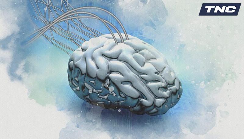 Samsung đang nghiên cứu sao chép bộ não của con người!