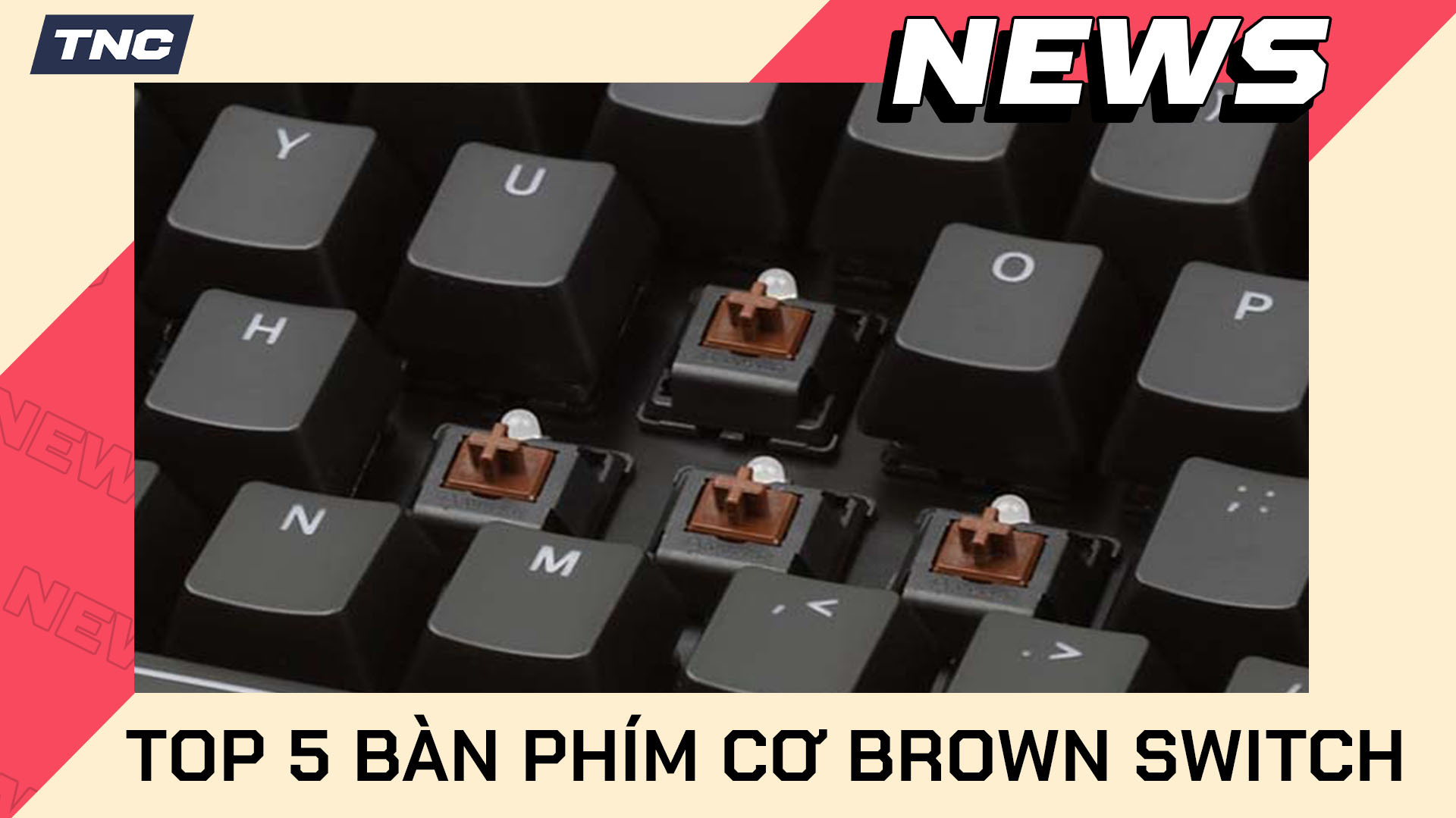 Top 5 Bàn Phím Cơ Brown Switch Tốt Nhất Đáng Sở Hữu Nhất