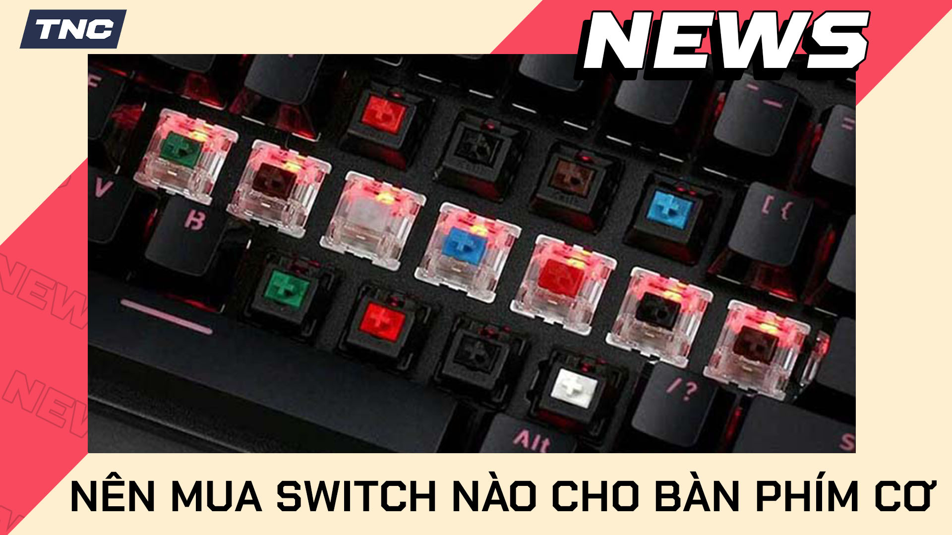 Nên Mua Bàn Phím Cơ Switch Nào? Cách Lựa Chọn Switch Với Từng Đối Tượng Sử Dụng