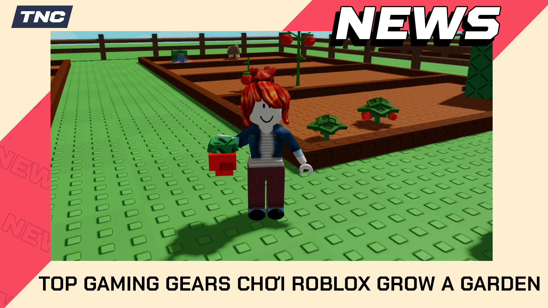 Khám Phá Bộ Gaming Gears Chất Nhất Khi Chơi Roblox Grow A Garden Tại TNC Store