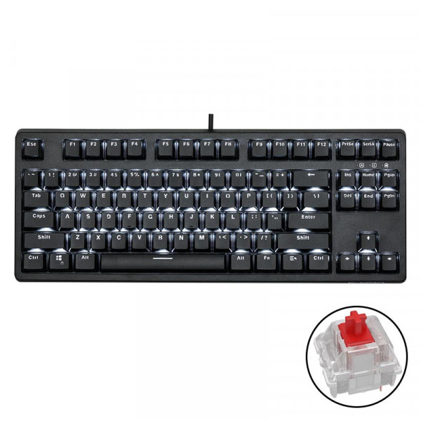 Bàn phím cơ E-DRA EK387 Gateron Red Switch/TKL/LED White/ABS