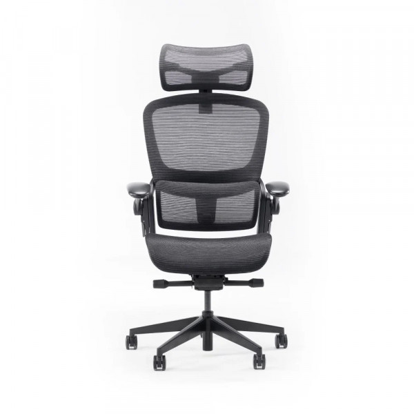 Ghế Công Thái Học Epione Easy Chair 2.0