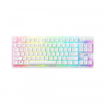 Bàn Phím Cơ Razer DeathStalker V2 Pro Tenkeyless - White Edition - Linear Red Switch - RZ03-04373500-R3M1