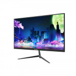 Màn Hình Edra EGM24F100H 24 Inch/ FHD/ IPS/ 100Hz/ 1ms