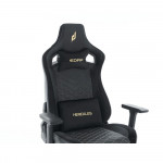 Ghế Gaming E-Dra Hercules EGC203 V2 Black 