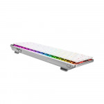 Bàn Phím Cơ ASUS ROG Falchion RX LP Red Switch (90MP03EC-BKUA10)