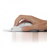 Chuột Gaming Pulsar X2 CrazyLight Medium Uyuni White (PX2CL202)