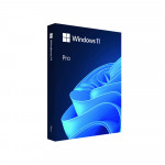 Hệ Điều Hành Windows 11 Pro 64-Bit ENG INTL 1pk DSP OEI DVD (FQC-10528)