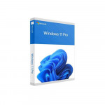 Phần Mềm Windows Pro 11 64-bit All Lng PK Lic Online DwnLd NR (FQC-10572)