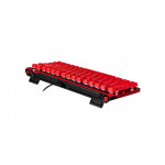 Bàn Phím Gaming Asus M705 ROG FALCHION ACE 75 HE Red - V2X Switch 