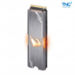 Ổ cứng SSD AORUS RGB M.2 NVMe 256GB