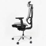 Ghế Công Thái Học Epione ErgoChair Pro Dark Gray