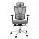 Ghế Công Thái Học Epione ErgoChair Pro Dark Gray