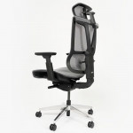 Ghế Công Thái Học Epione ErgoChair Pro Dark Gray