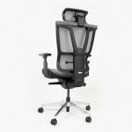 Ghế Công Thái Học Epione ErgoChair Pro Dark Gray