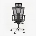 Ghế Công Thái Học Epione ErgoChair Pro Dark Gray