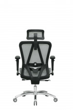 Ghế Công Thái Học E-Dra EEC215 Black