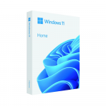 Hệ Điều Hành Microsoft Windows 11 Home FPP 64 bit Eng Intl USB (HAJ-00090)