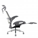 Ghế công thái học - Epione Easy Chair SE Cool Gray