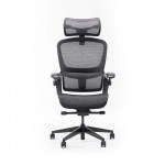 Ghế Công Thái Học Epione Easy Chair 2.0