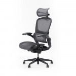 Ghế Công Thái Học Epione Easy Chair 2.0