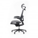Ghế Công Thái Học Epione Easy Chair 2.0