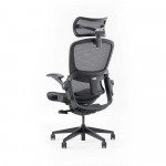 Ghế Công Thái Học Epione Easy Chair 2.0