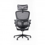 Ghế Công Thái Học Epione Easy Chair 2.0