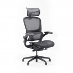 Ghế Công Thái Học Epione Easy Chair 2.0