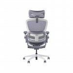 Ghế Công Thái Học Epione Easy Chair Gray 2.0